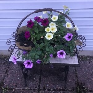 Meet your Posher, Terri